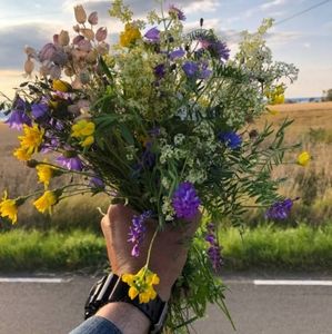 Meet your Posher, Sonya